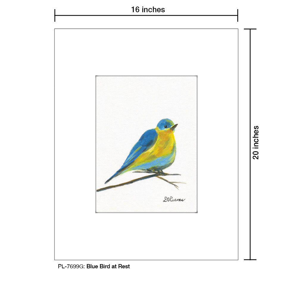 Blue Bird at Rest, Print (#7699G)