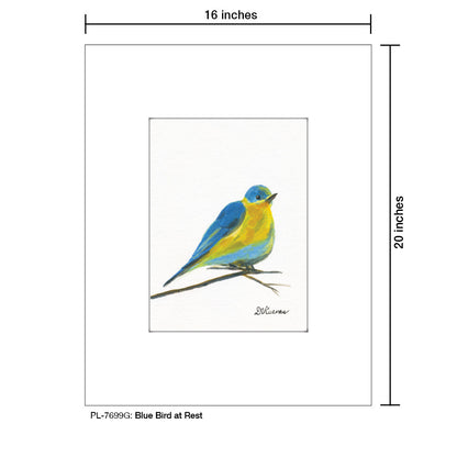 Blue Bird at Rest, Print (#7699G)