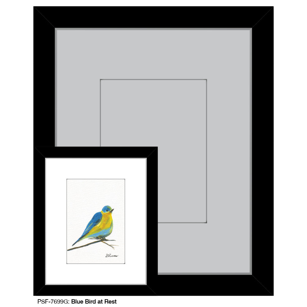 Blue Bird at Rest, Print (#7699G)