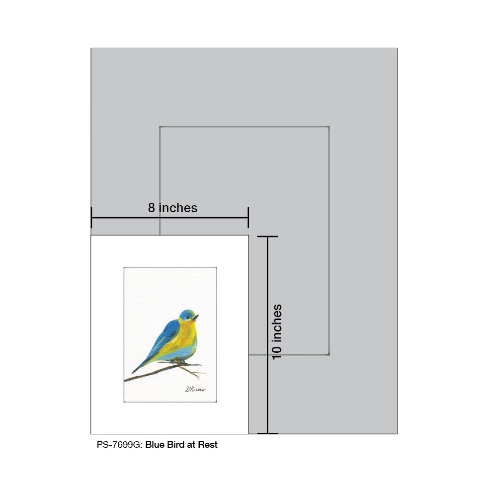 Blue Bird at Rest, Print (#7699G)