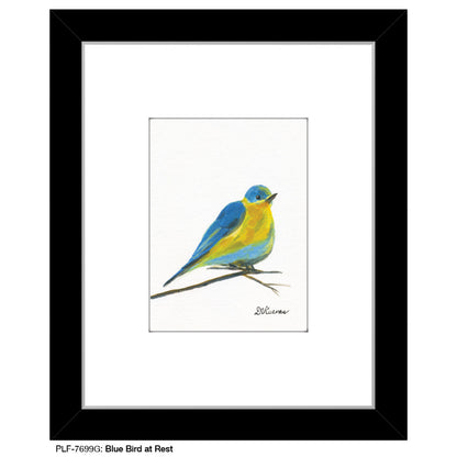 Blue Bird at Rest, Print (#7699G)