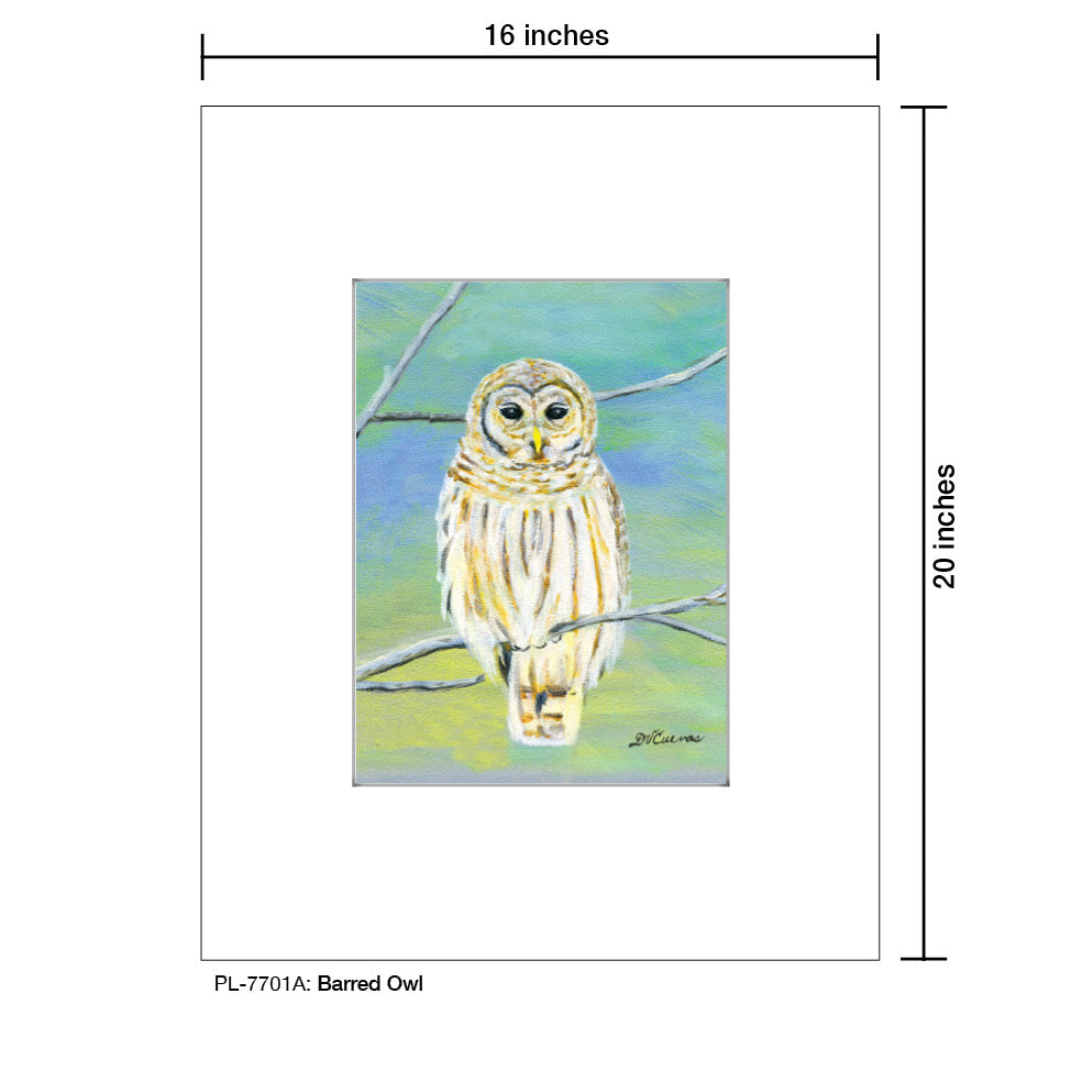 Barred Owl, Print (#7701A)