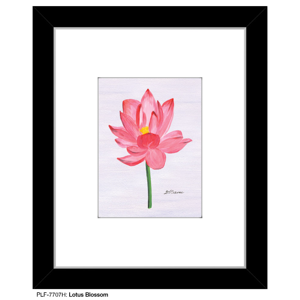 Lotus Blossom, Print (#7707H)