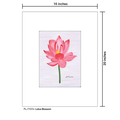 Lotus Blossom, Print (#7707H)