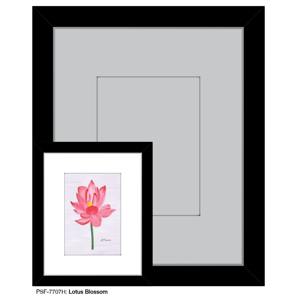 Lotus Blossom, Print (#7707H)