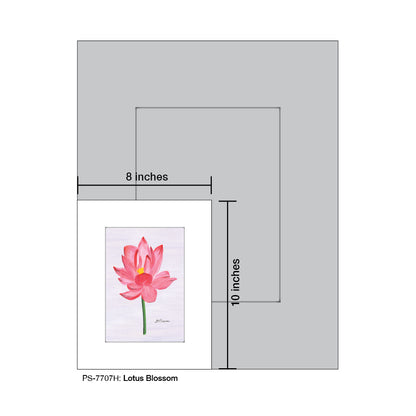 Lotus Blossom, Print (#7707H)