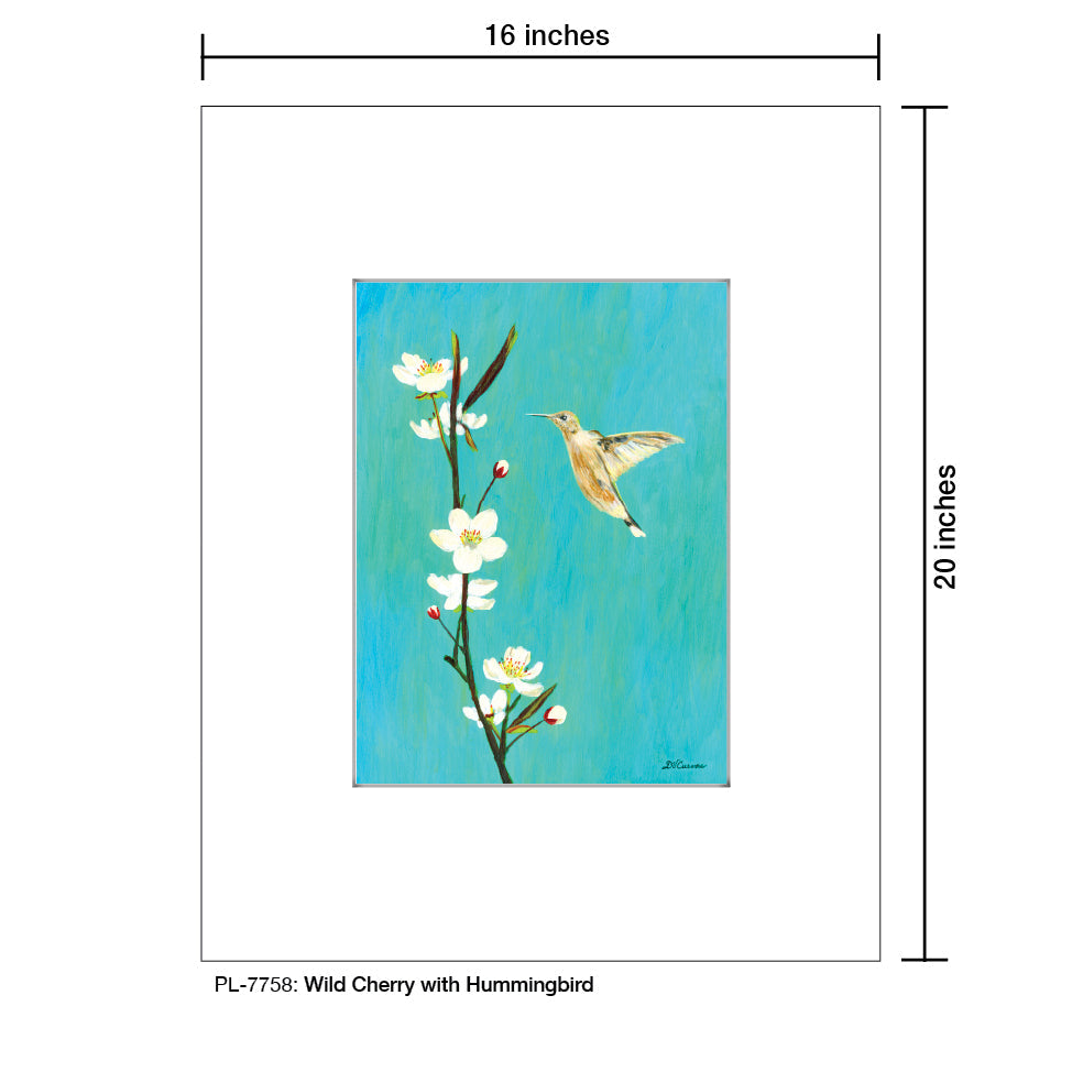 Wild Cherry With Hummingbird, Print (#7758)