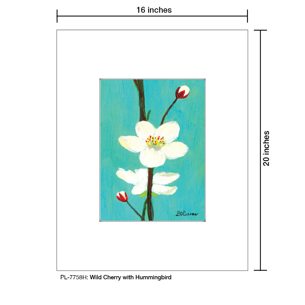 Wild Cherry with Hummingbird, Print (#7758H)