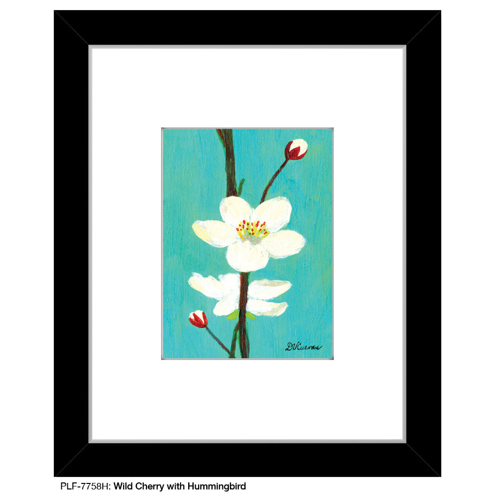 Wild Cherry with Hummingbird, Print (#7758H)