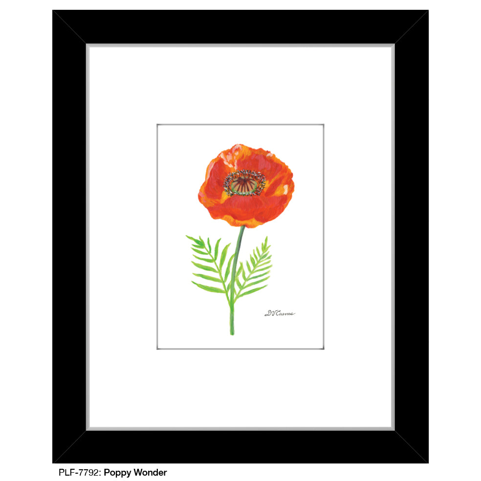 Poppy Wonder, Print (#7792)