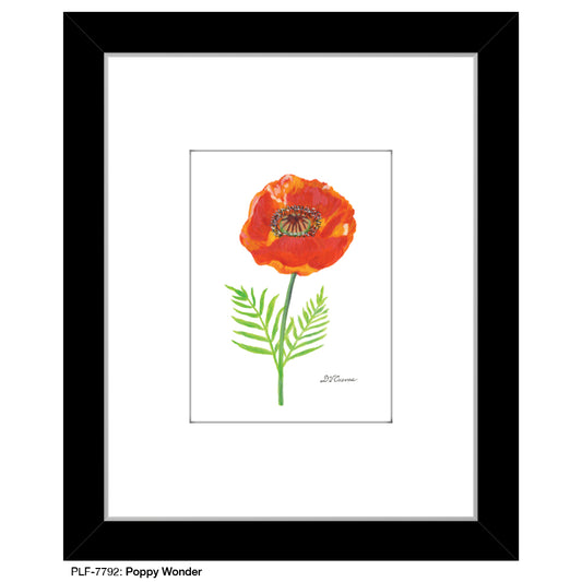 Poppy Wonder, Print (#7792)