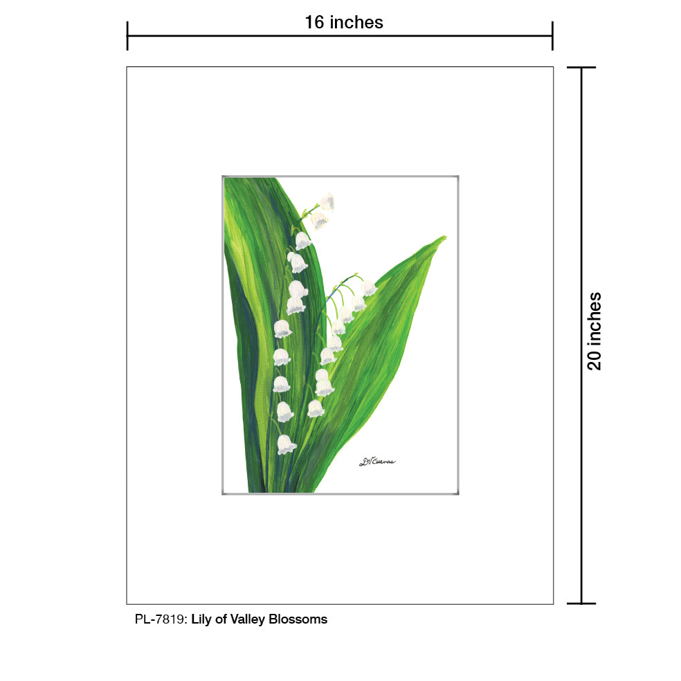 Lily of the Valley Blossoms, Print (#7819)