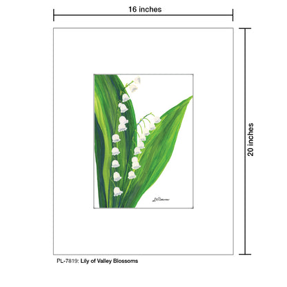 Lily of the Valley Blossoms, Print (#7819C)