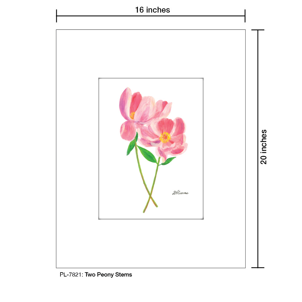 Two Peony Stems, Print (#7821)