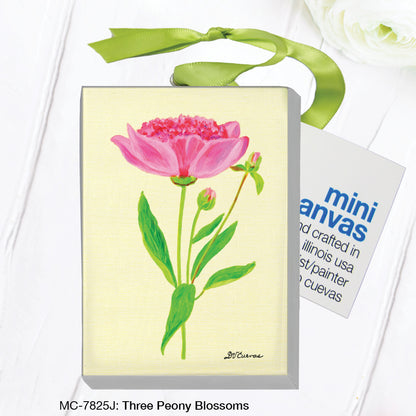 Three Peony Blossoms (MC-7825J)