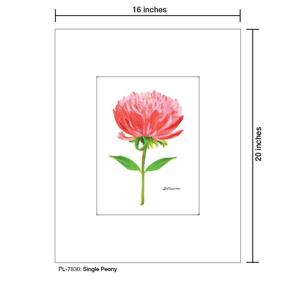 Single Peony, Print (#7830)