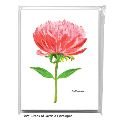 Single Peony, Greeting Card (7830)