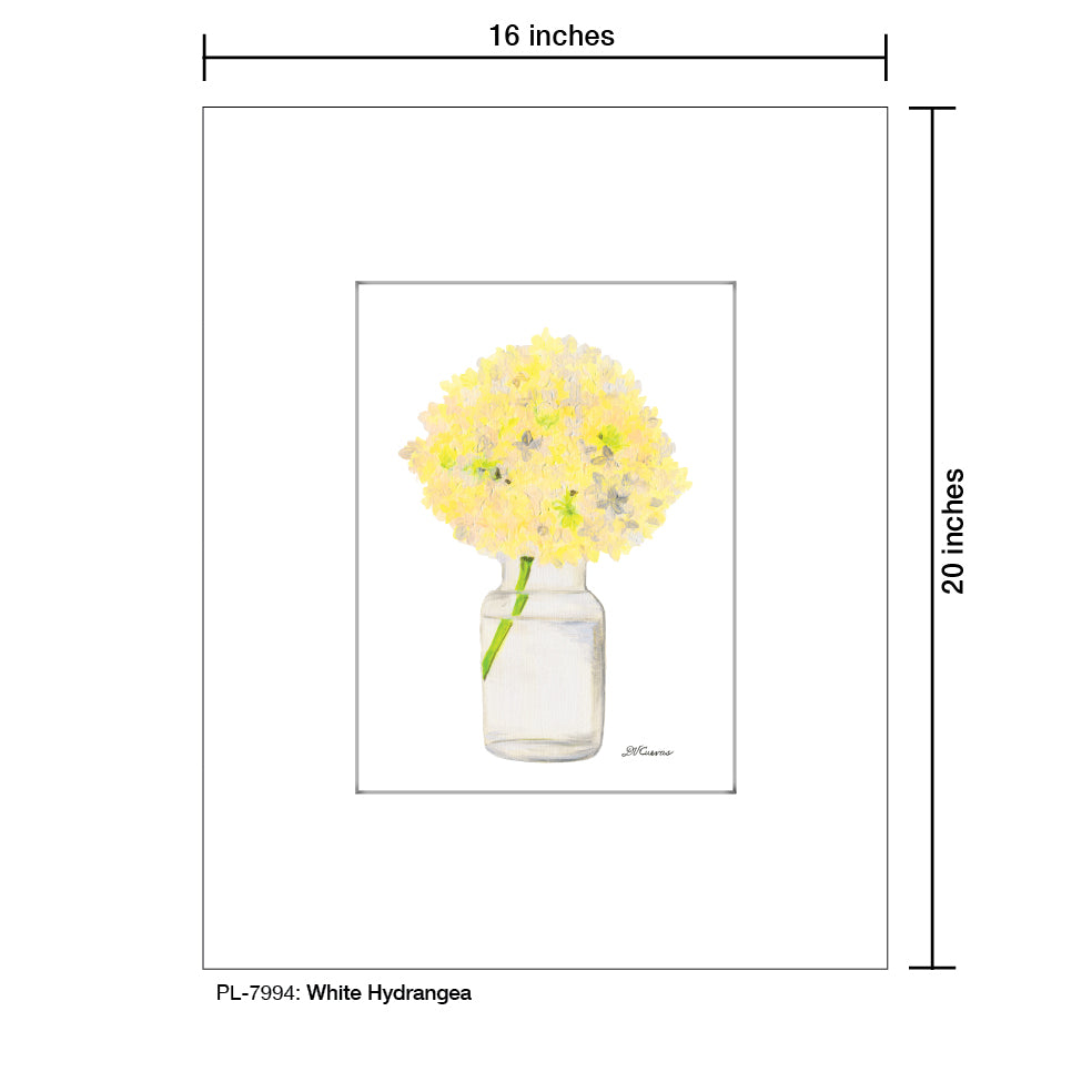 White Hydrangea, Print (#7994)