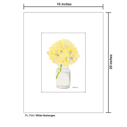 White Hydrangea, Print (#7994)