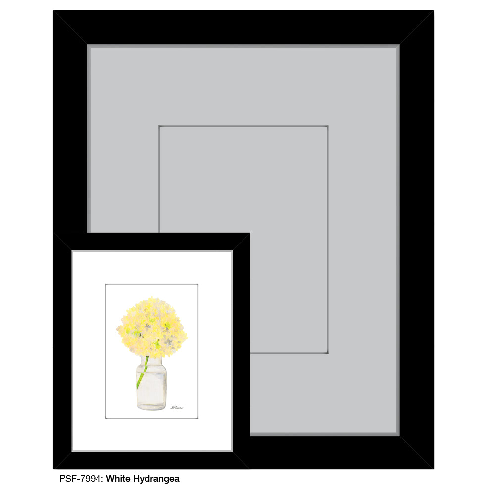 White Hydrangea, Print (#7994)