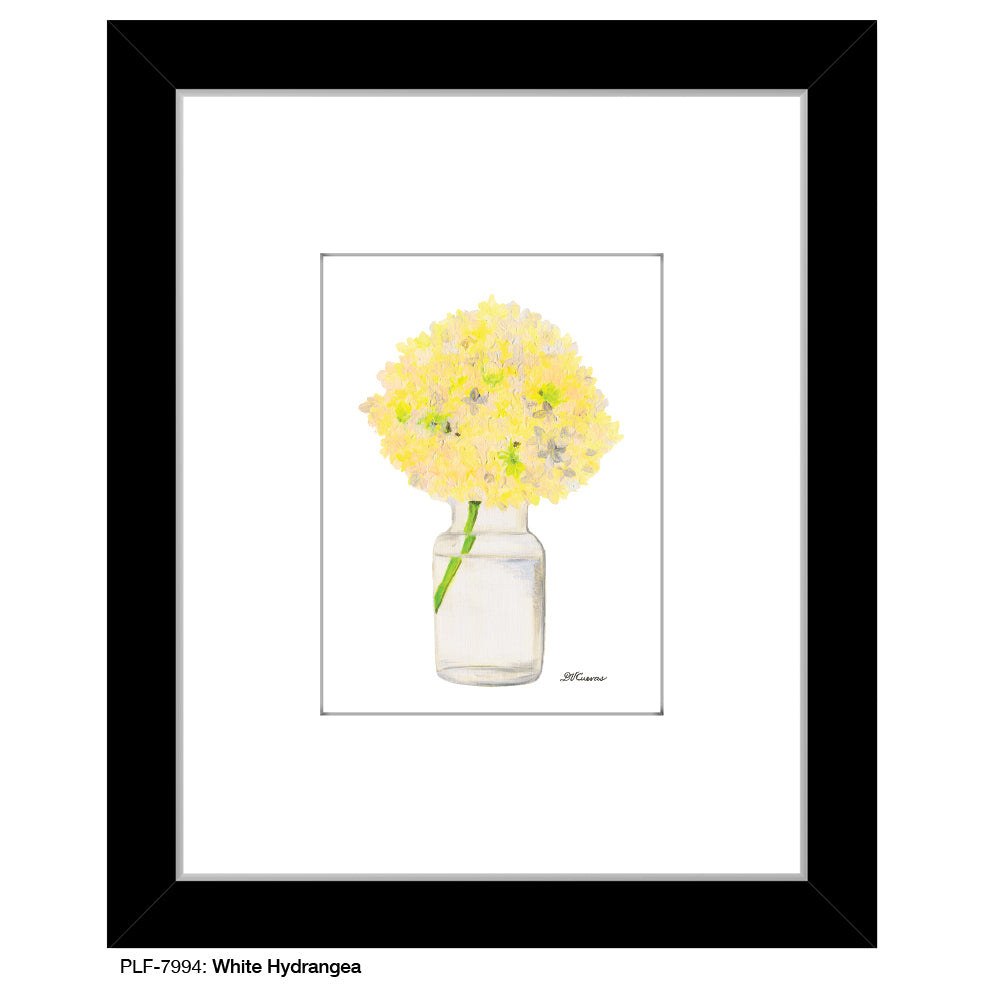 White Hydrangea, Print (#7994)