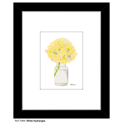 White Hydrangea, Print (#7994)