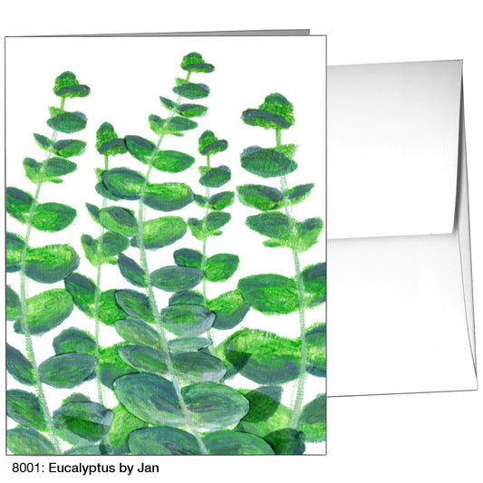 Eucalyptus By Jan, Greeting Card (8001)