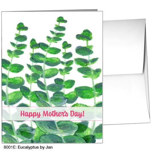 Eucalyptus By Jan, Greeting Card (8001E)