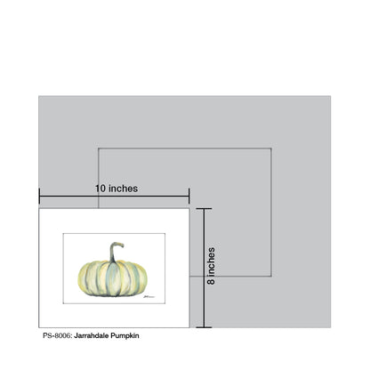 Jarrahdale Pumpkin, Print (8006)