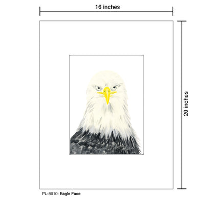 Eagle Face, Print (#8010)