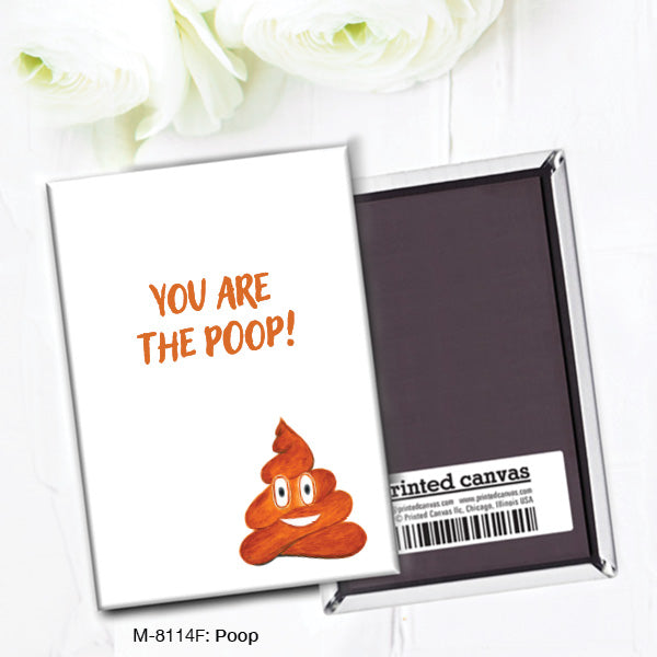 Poop, Magnet (8114F)