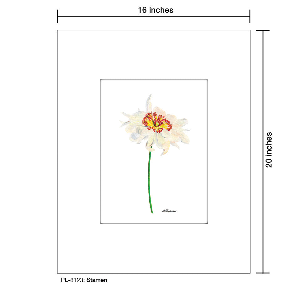 Stamen, Print (#8123)