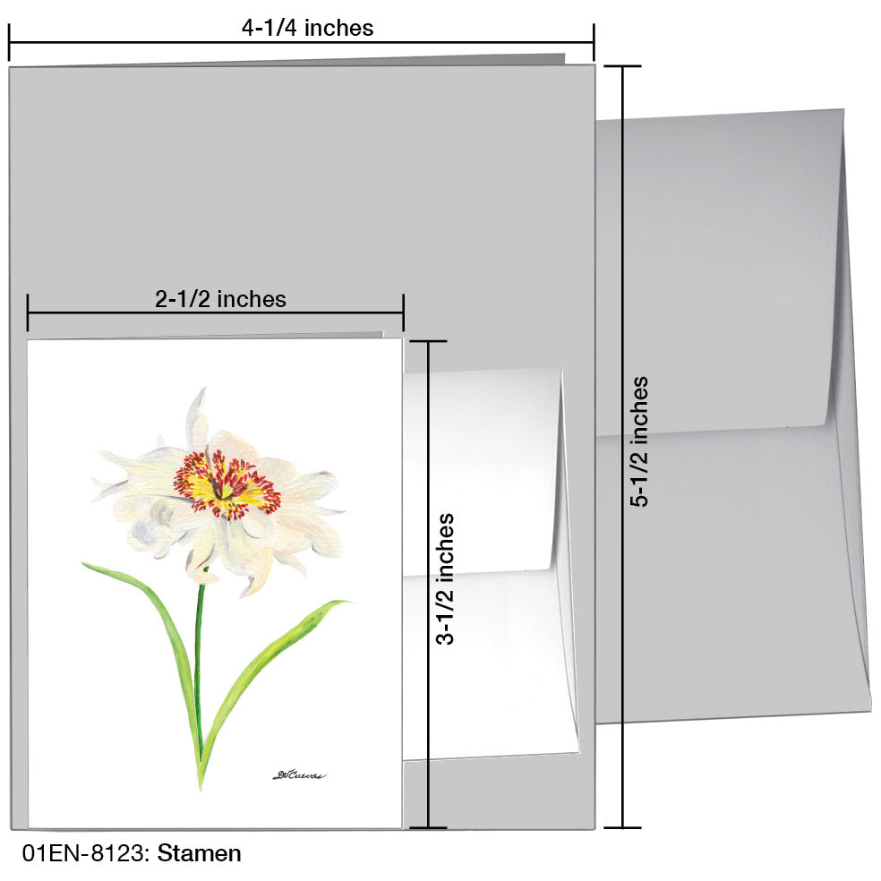 Stamen, Greeting Card (8123)