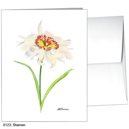 Stamen, Greeting Card (8123)