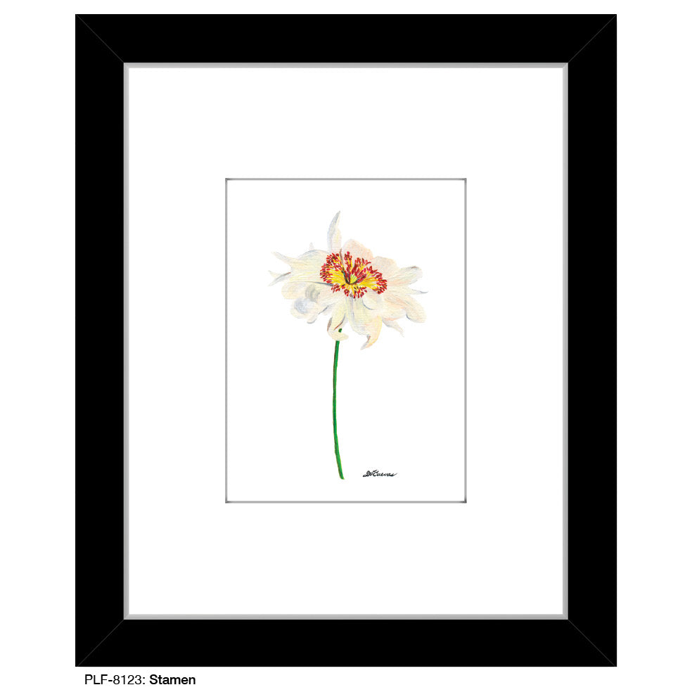 Stamen, Print (#8123)