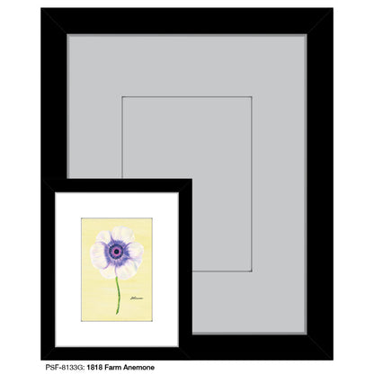 1818 Farm Anemone, Print (#8133G)