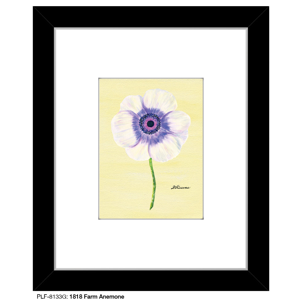 1818 Farm Anemone, Print (#8133G)