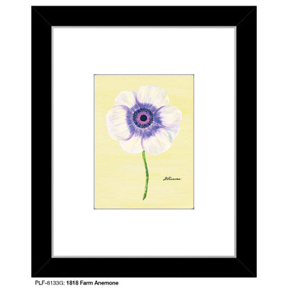 1818 Farm Anemone, Print (#8133G)