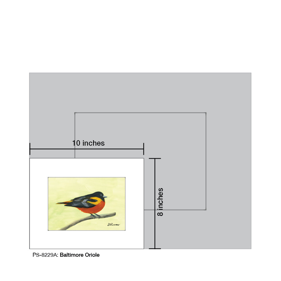 Baltimore Oriole, Print (#8229A)