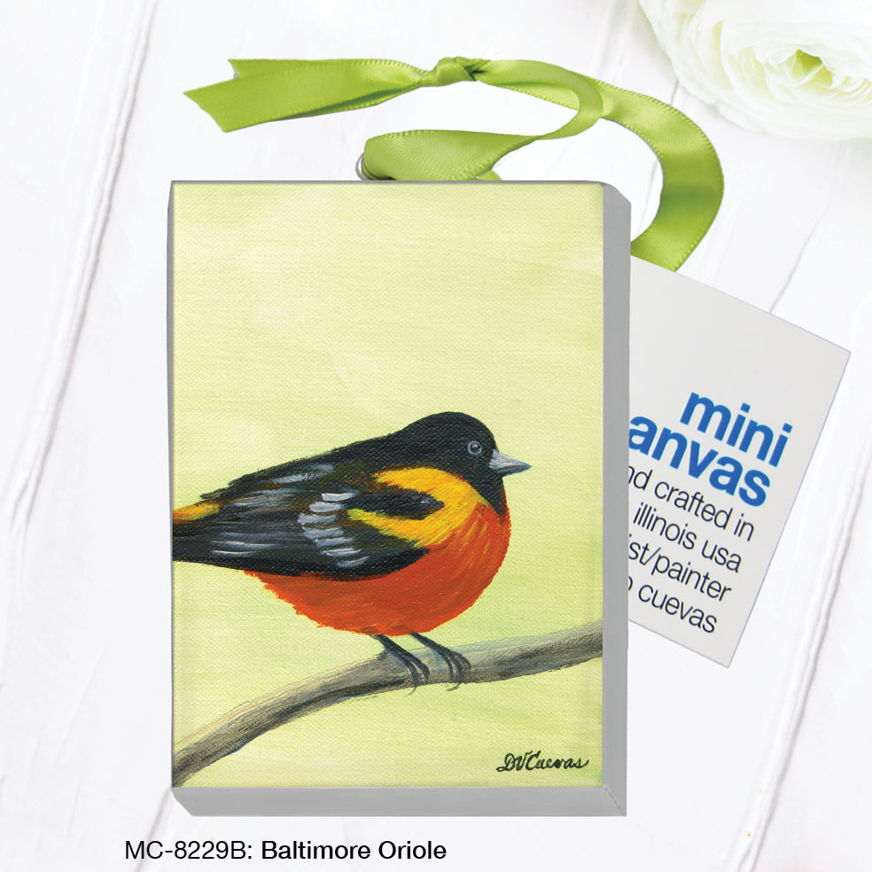 Baltimore Oriole (MC-8229B)