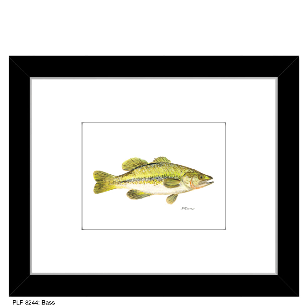 Bass, Print (#8244)