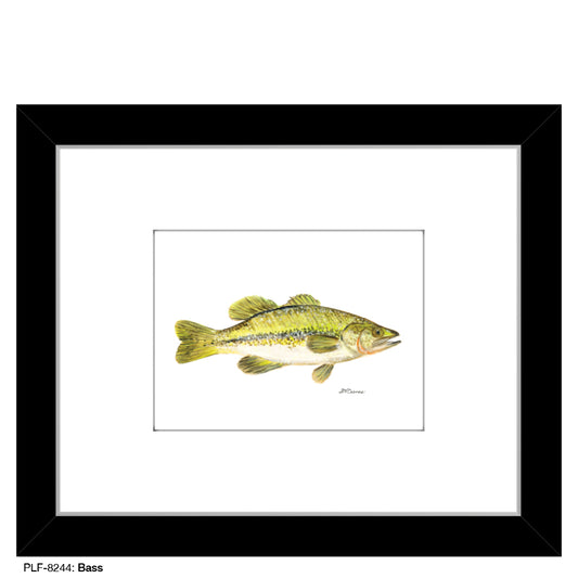 Bass, Print (#8244)