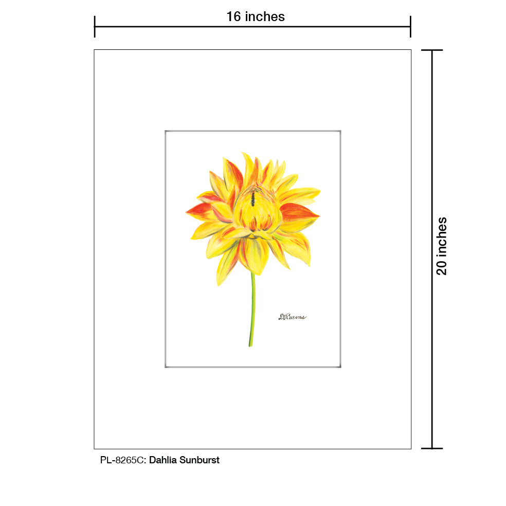 Dahlia Sunburst, Print (#8265C)