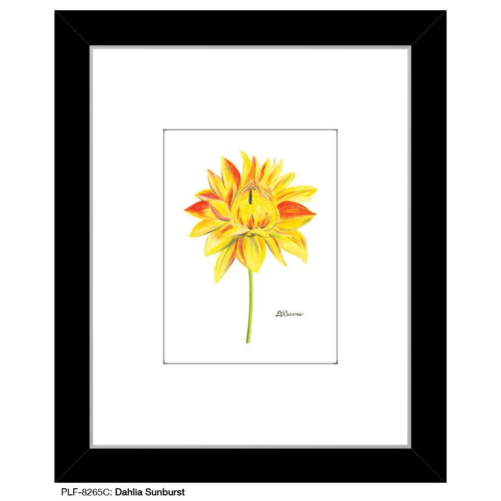 Dahlia Sunburst, Print (#8265C)