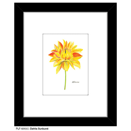 Dahlia Sunburst, Print (#8265C)