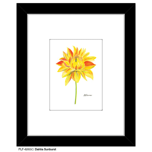 Dahlia Sunburst, Print (#8265C)