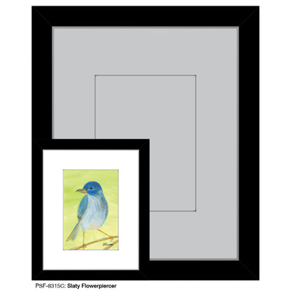 Slaty Flowerpiercer, Print (#8315C)