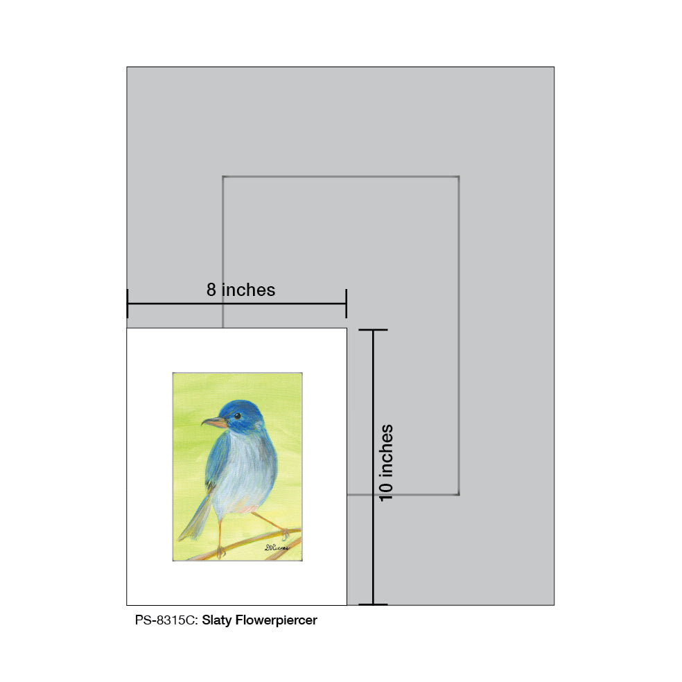 Slaty Flowerpiercer, Print (#8315C)