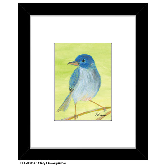 Slaty Flowerpiercer, Print (#8315C)