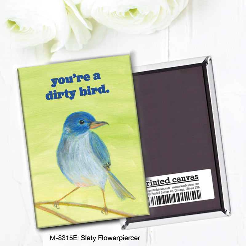 Slaty Flowerpiercer, Magnet (8315E)